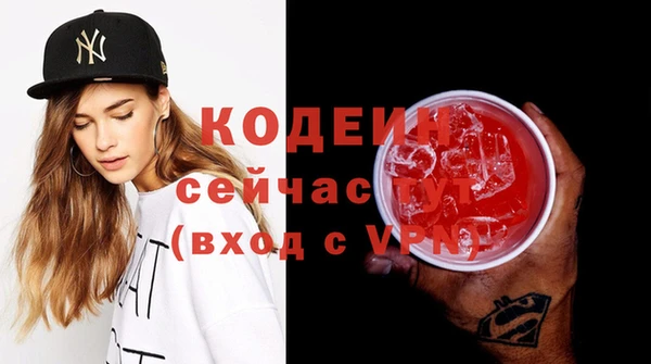 дмт Елизово