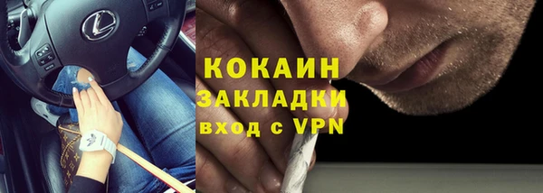 дмт Ельня