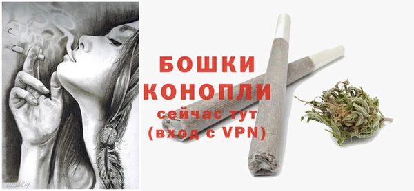 дмт Елизово