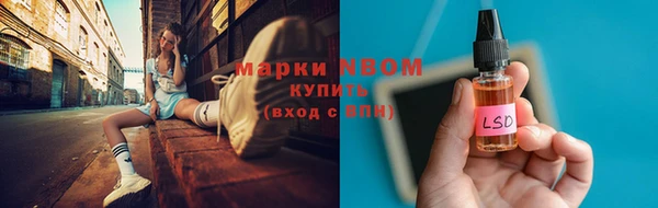 дмт Ельня