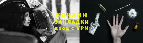 дмт Ельня