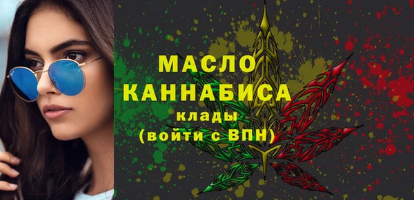 дмт Ельня