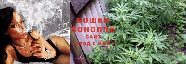 дмт Елизово