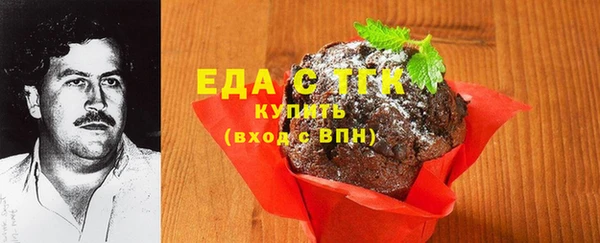 дмт Ельня