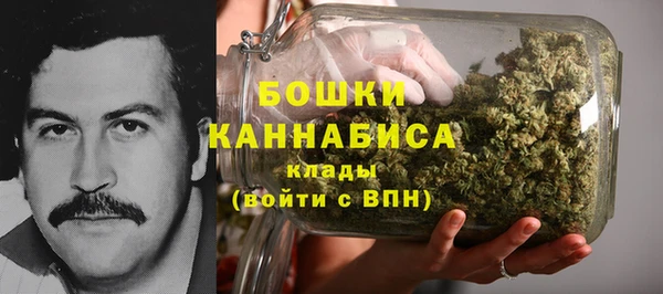 дмт Елизово