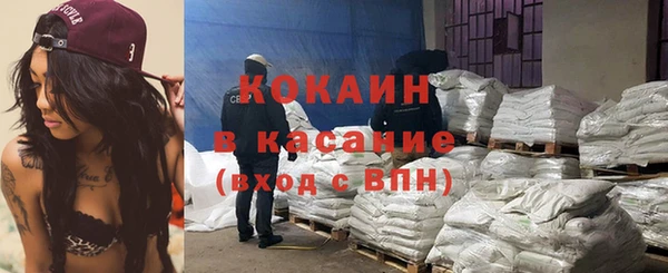 дмт Елизово