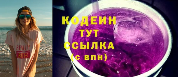 дмт Ельня