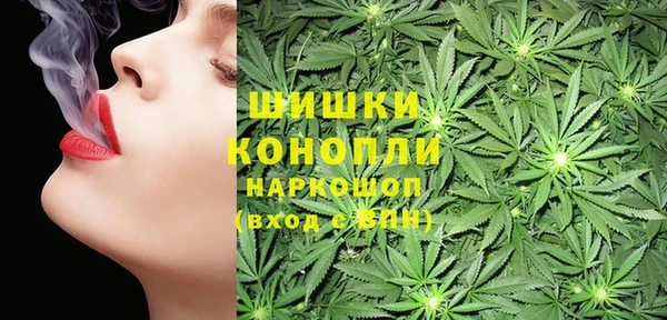 дмт Елизово