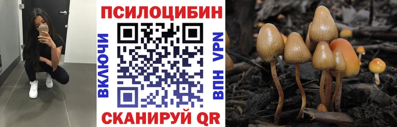 Купить закладки  Чебаркуль  Псилоцибиновые грибы мицелий 