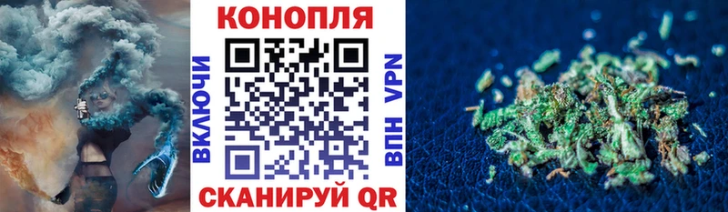Бошки Шишки White Widow  Купить закладки  Чебаркуль 
